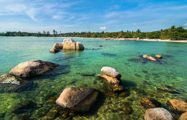 Красивый вид на море на фоне неба