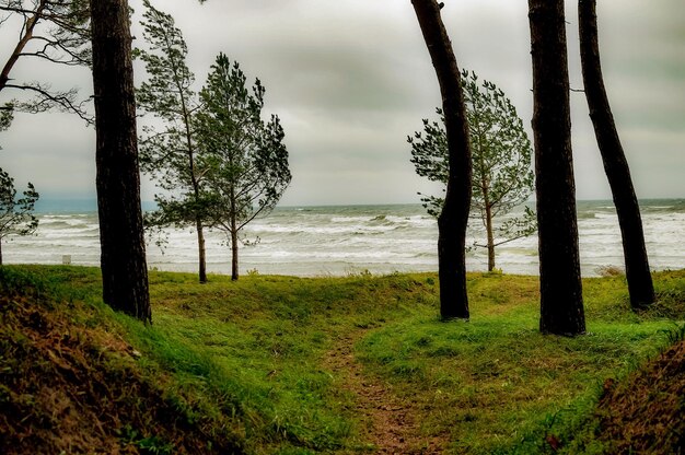 Photo scenic view of sea against sky