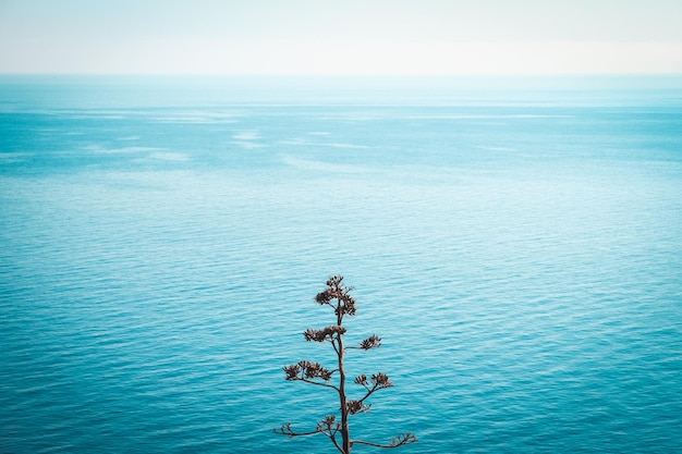 Photo scenic view of sea against sky