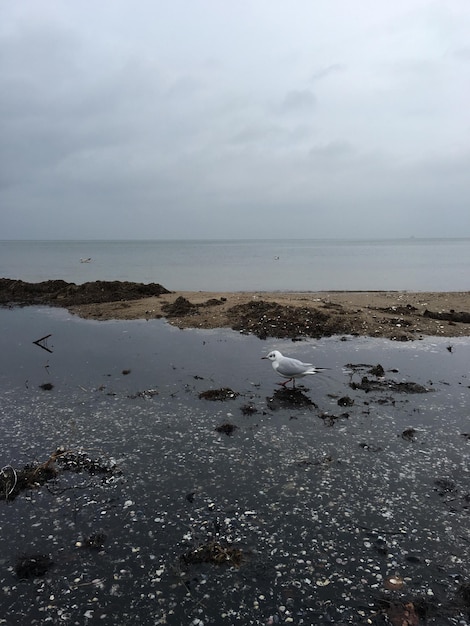 空に照らされた海の景色