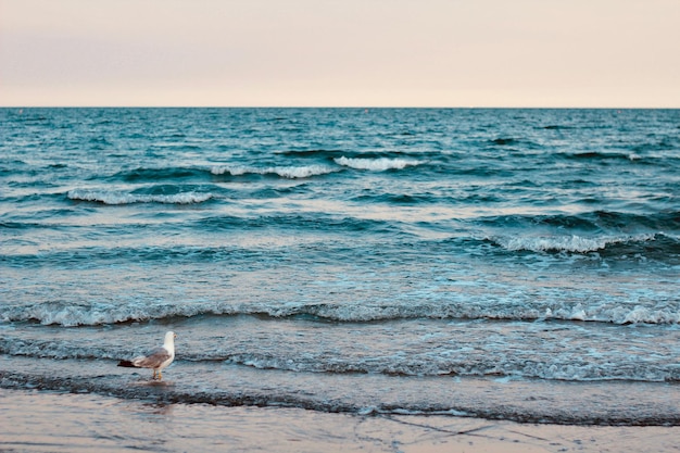 Photo scenic view of sea against sky