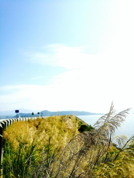 Photo scenic view of sea against sky