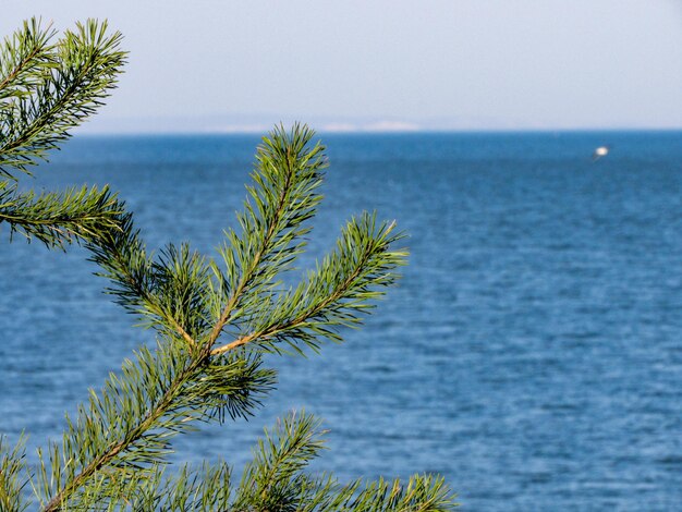 Photo scenic view of sea against sky