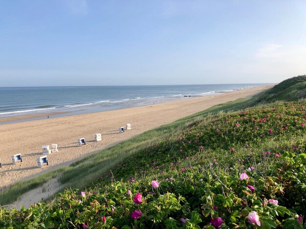 Photo scenic view of sea against sky