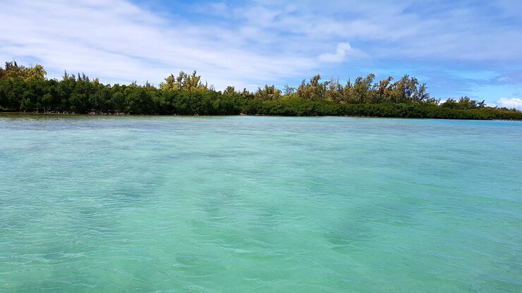 Фотография красивый вид на море на фоне неба