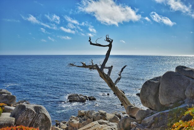 Foto vista panoramica del mare sul cielo