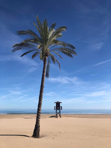 Foto vista panoramica del mare sul cielo