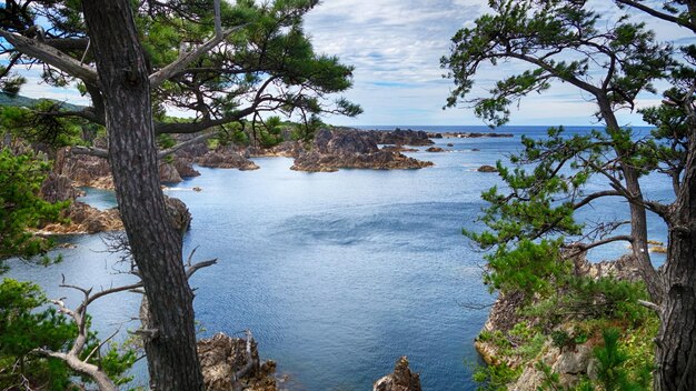 Красивый вид на море на фоне неба