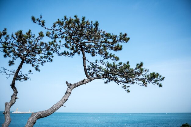 Photo scenic view of sea against sky