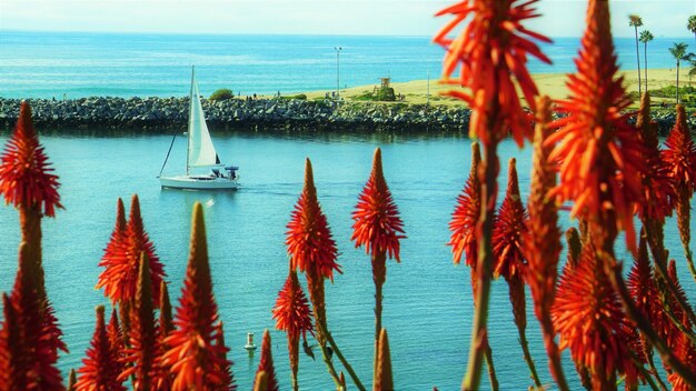 Photo scenic view of sea against sky