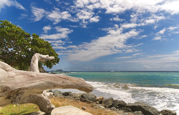 Photo scenic view of sea against sky