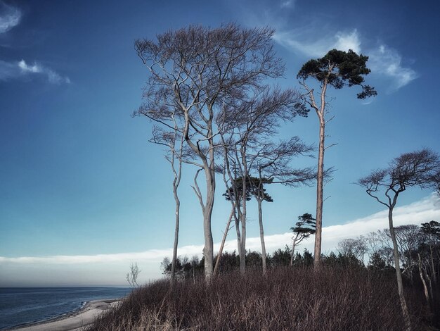 Photo scenic view of sea against sky