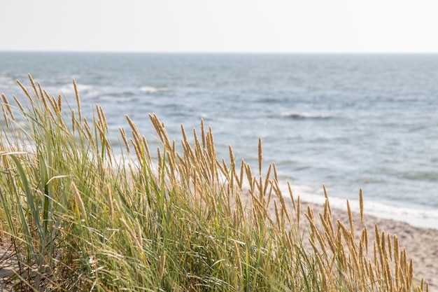 Photo scenic view of sea against sky