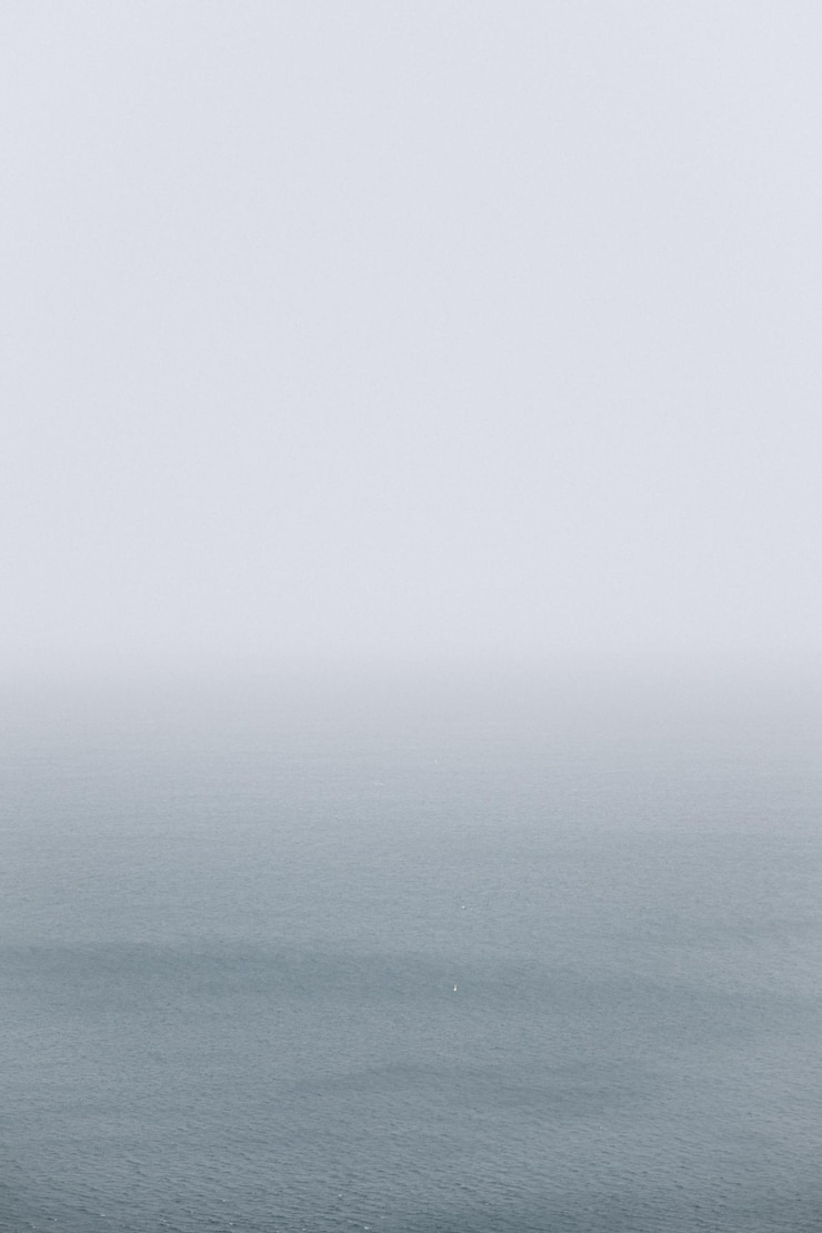 Photo 空に照らされた海の景色
