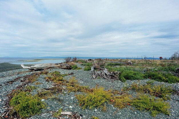 Photo scenic view of sea against sky