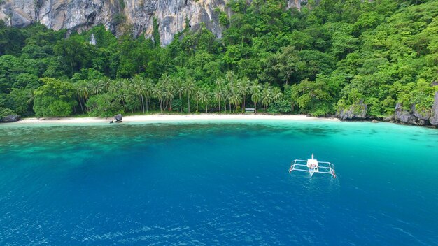 Scenic view of sea against trees