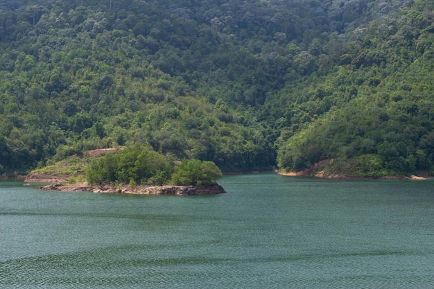 Scenic view of sea against trees