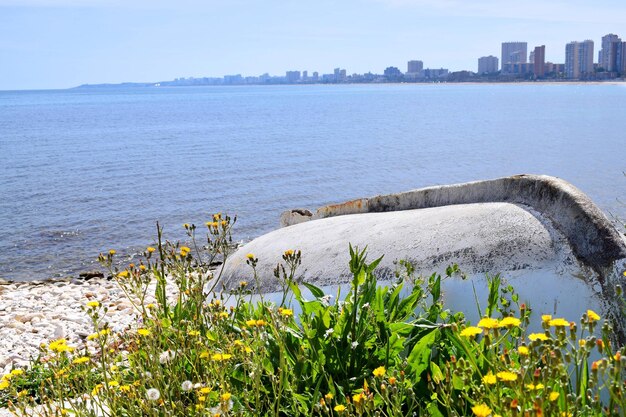 Scenic view of sea by city against sky