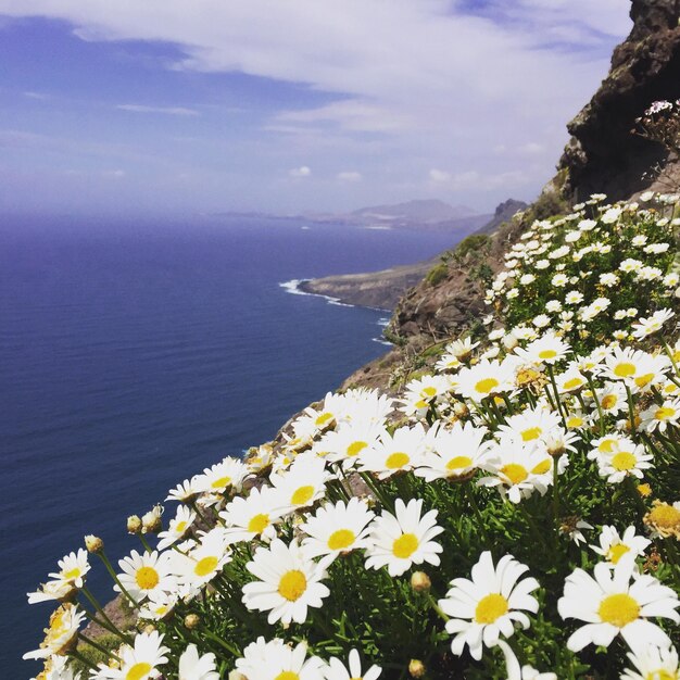 Scenic view of sea by mountains against sky