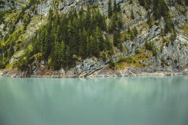 Foto la vista panoramica del mare dalla montagna degli alberi