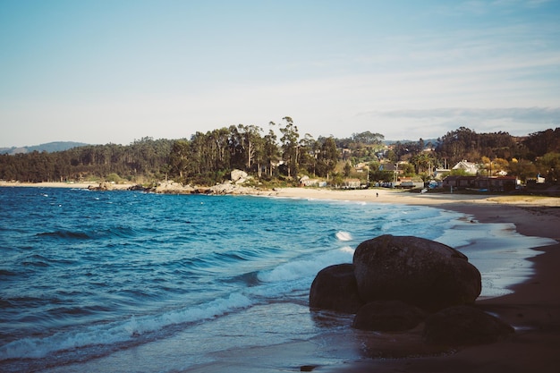 Photo scenic view of sea by trees against sky