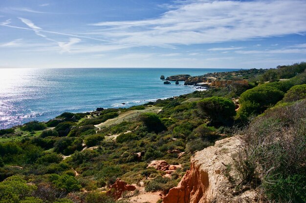 Vista panoramica del mare e della scogliera contro il cielo