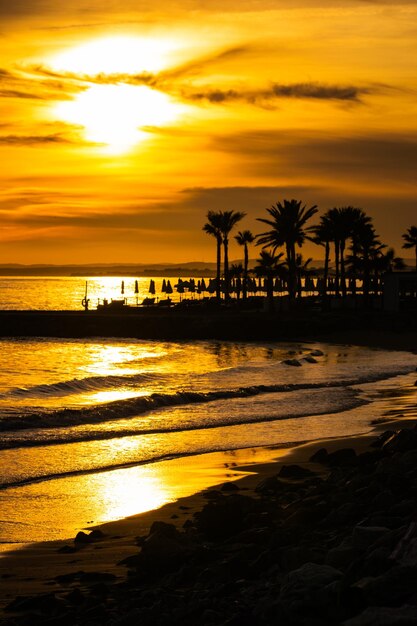 Scenic view of sea during sunset