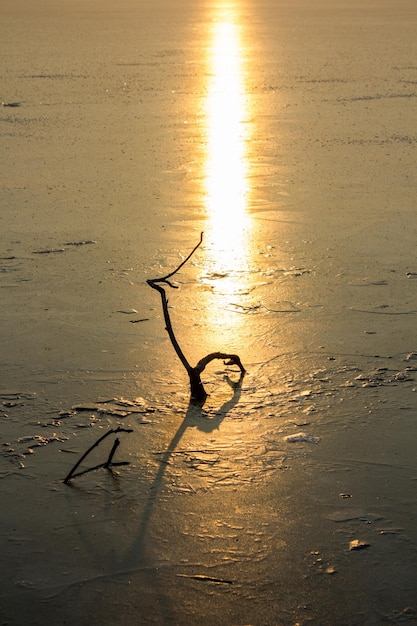 Photo scenic view of sea during sunset