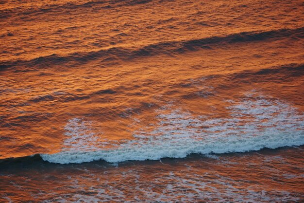 Scenic view of sea during sunset