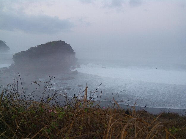 Foto la vista panoramica del mare in tempo di nebbia