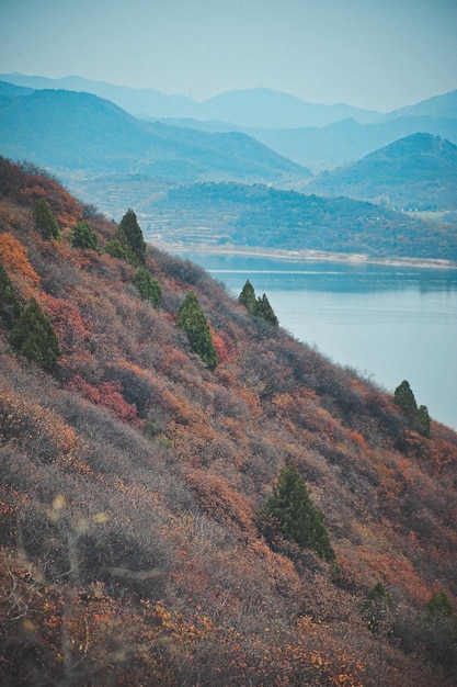 Foto vista panoramica del lago marino in autunno contro il cielo