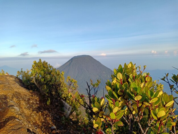 Photo scenic view of sea and mountains against sky