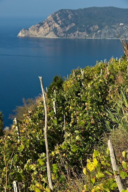 Foto vista panoramica del mare e delle montagne sul cielo