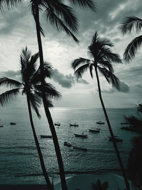 Photo scenic view of sea and palm trees against cloudy sky