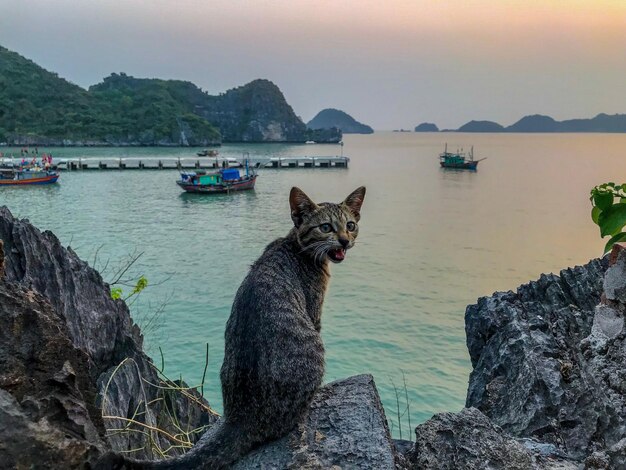 Photo scenic view of sea and rocks