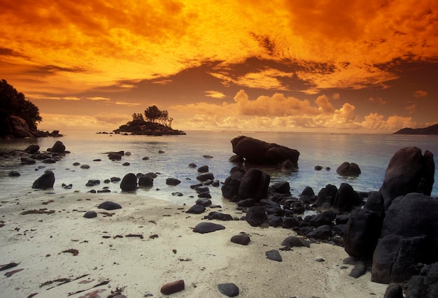 Scenic view of sea at sunset