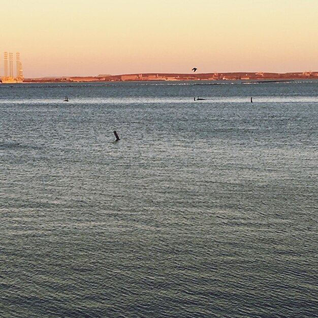 Scenic view of sea at sunset