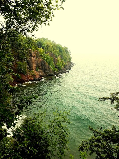 Scenic view of sea and trees against clear sky