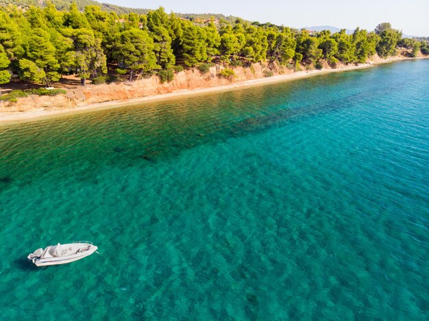 Scenic view of sea and trees