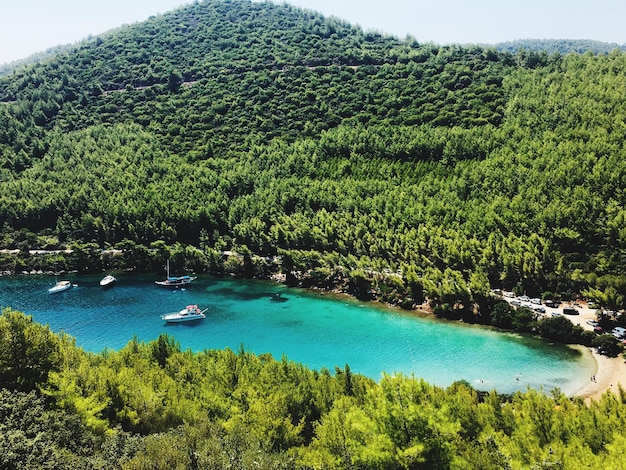 Foto vista panoramica del mare e degli alberi