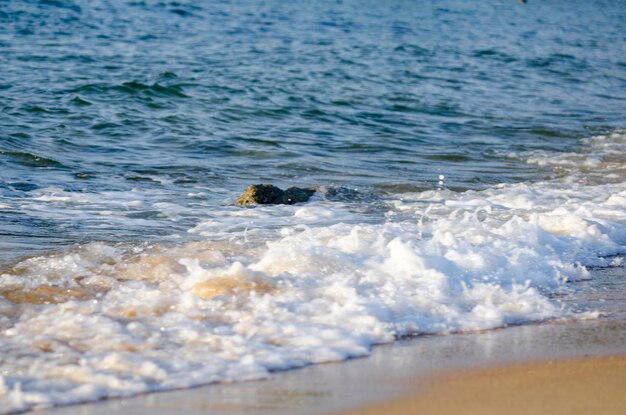 Scenic view of sea waves