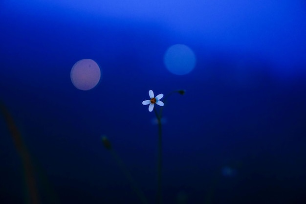 海景景觀