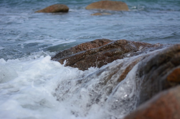 Scenic view of sea