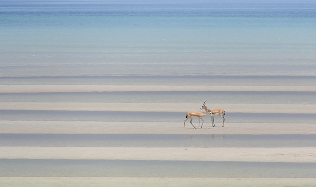 海の景色