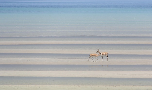 Scenic view of sea