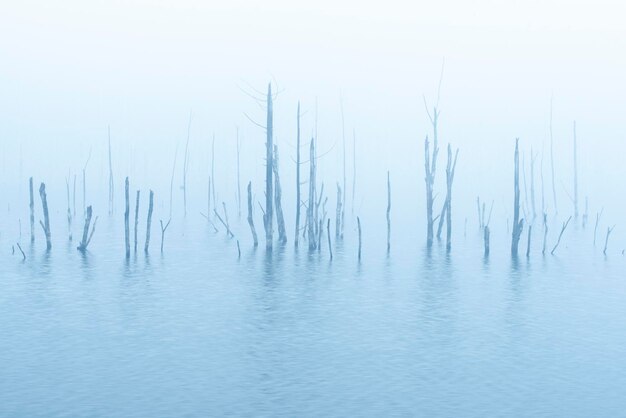 Foto la vista panoramica del mare