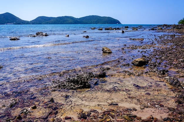 Красивый вид на море