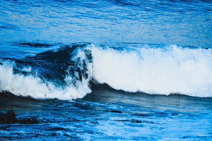 Photo 海の景色