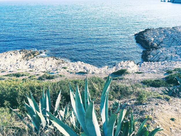 Foto la vista panoramica del mare