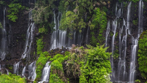 Photo scenic view of shiraito falls